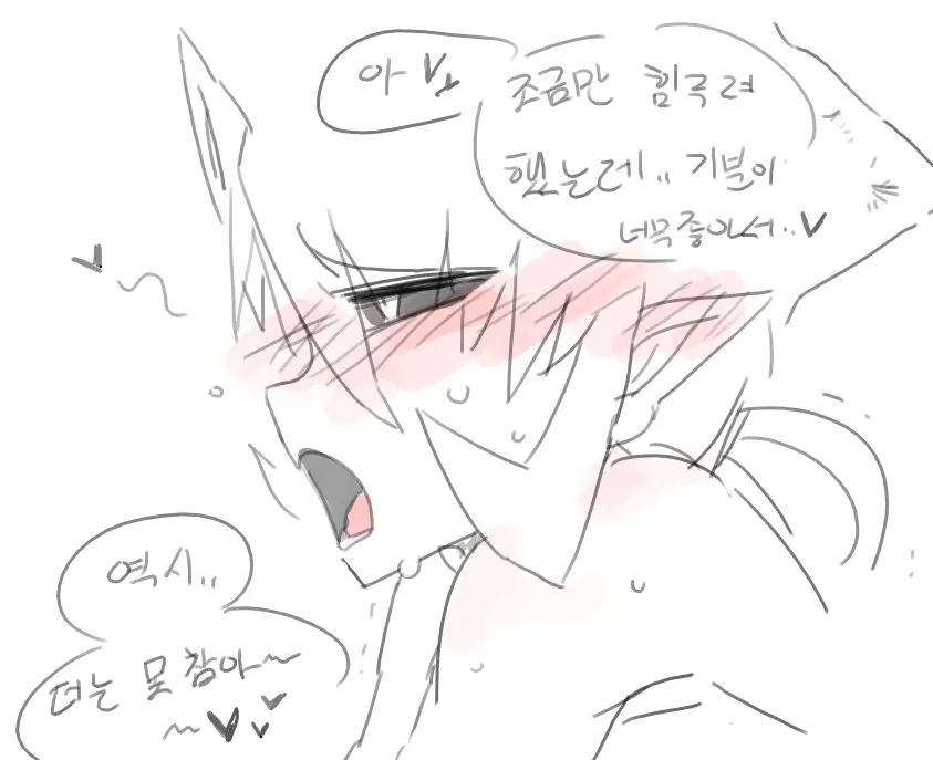 넷캔